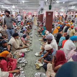 Dinner time! How would Brian's knee cope!