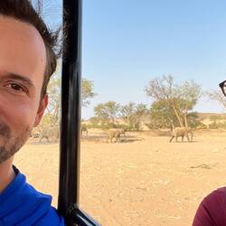 Wir folgen der Herde