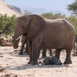 Jetzt erst Mal ein Schläfchen