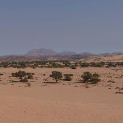 Hier suchen wir nach den Wüstenelefanten