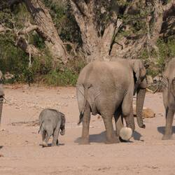 Die Füße passen zu den gefundenen Fußabdrücken...