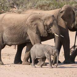 Da ist die ganze Gruppe!