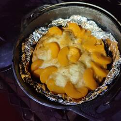 Der berüchtigte Pfirsichkuchen... sieht besser aus, als er geschmeckt hat