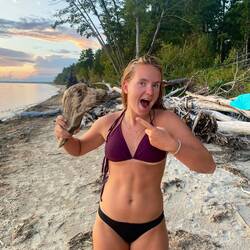 Ich erkenne schon Hunde im Holz