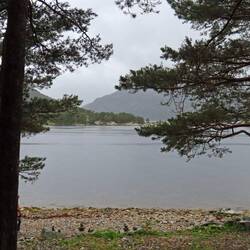 Dabei war der Fjord durchaus sehenswert. Hier machten wir Waffelpause.