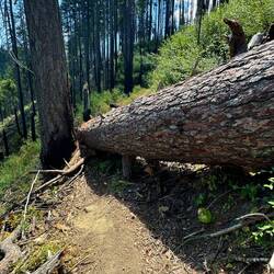 Zum Klettern gab es wieder einiges 🙈