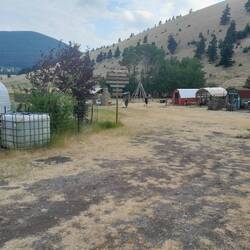 Llama Ranch 2: gratis Camping, Cabins, Getränke, Sandwichs, Dusche etc.