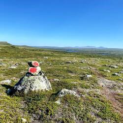 In der Entfernung kann man die Berge des Stabbursdalen Nationalparks sehen.