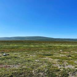 Wenn ihr ganz genau hinschaut, könnt ihr in der Entfernung den Elch sehen.
