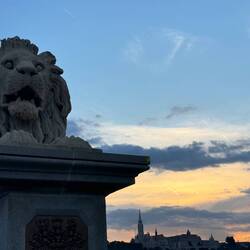 Lion on the Chain bridge. Similar to Bridge of Lions in St Augustine