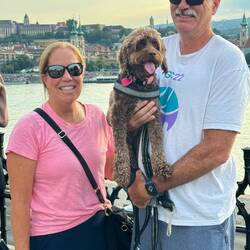 Proof of life in front of Danube river (do you hear a waltz?)