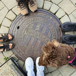 Manhole cover shot in front of stadium