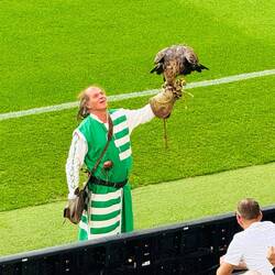 Eagle mascot for the club