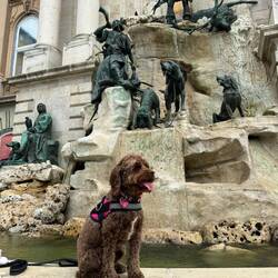 Matthias Fountain in Buda Castle