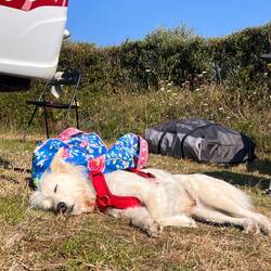 Das sind super Urlaubsmomente