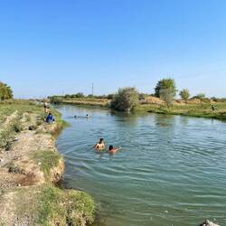 Schwimmen 🏊 und waschen 🧼 zugleich