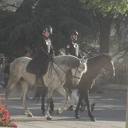 Berittene Polizei