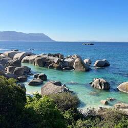 Hier soll es viele Pinguine geben