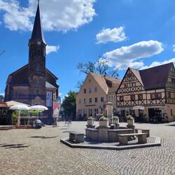 Stadt Wehlen