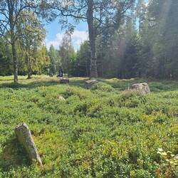 Blick vom Hügelgrab Richtung Straße