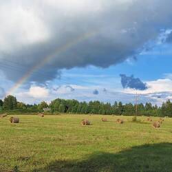 So mag man Regenbogen