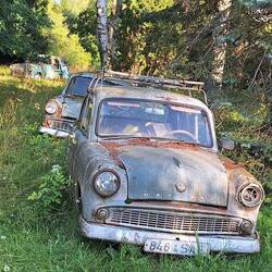 Auf einem Grundstück m Walde