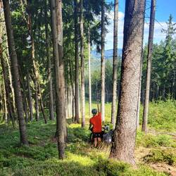 Da vorne ist auch schon die Straße, zu der wir also herabwandern mussten.