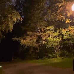 Hat uns zu Tode erschreckt