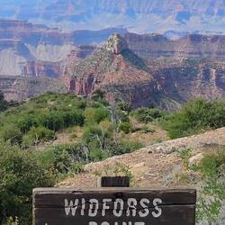 Widforss Point