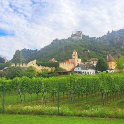 Fahrt mit dem Bus nach Dürnstein