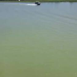 Ein Polizeiboot überholt uns gerade.