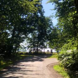 Aus dem Wald kommend das Meer sehen