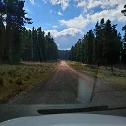 Bonus Google map adventure road