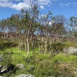 Damit ihr euch nicht immer Panoramavideos von weiten Ebenen ankucken müsst.