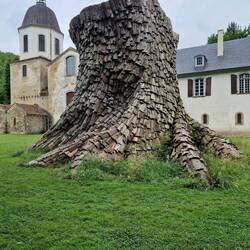 Kunst im Kloster