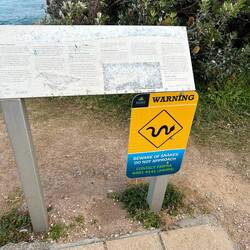 S erste Schild 🐍