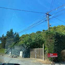 Electricity cables through trees....