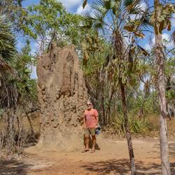Cathedral Termite Mound