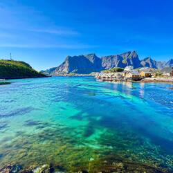 Reine