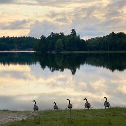 Tagesanbruch im Killarney Provicial Park