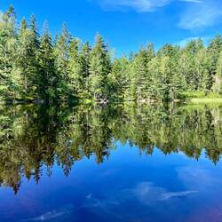 Auf jeden Fall ein Stückchen..