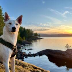 ..in Norwegen gut abschließen 😌