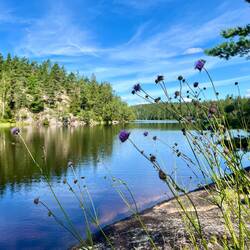 ..es sich auf alle Fälle gut aushalten lässt!