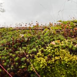 ..sich hier aber generell wohl.