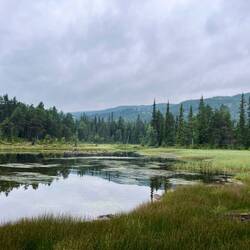 ..Wassergräser sprießen lässt.