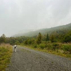 Johnny hält gut Schritt und so..