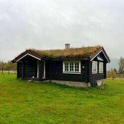 ..nicht nur Gräser und Moose, auch..