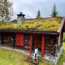 Die feinen Pflänzchek fühlen..