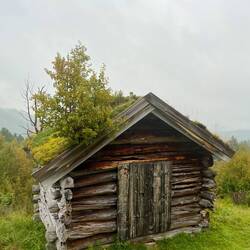 ..Bäumchen machen keinen Halt..
