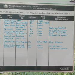 Last seen today: grizzly bears - wir sind keinem begegnet...